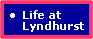  Life at Lyndhurst link  